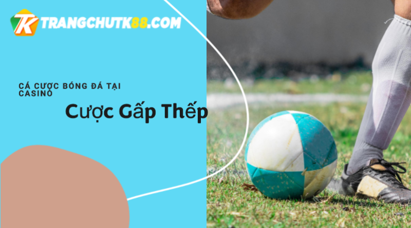 Cược gấp thếp là gì? Tất tần tật điều cần biết về cược gấp thếp