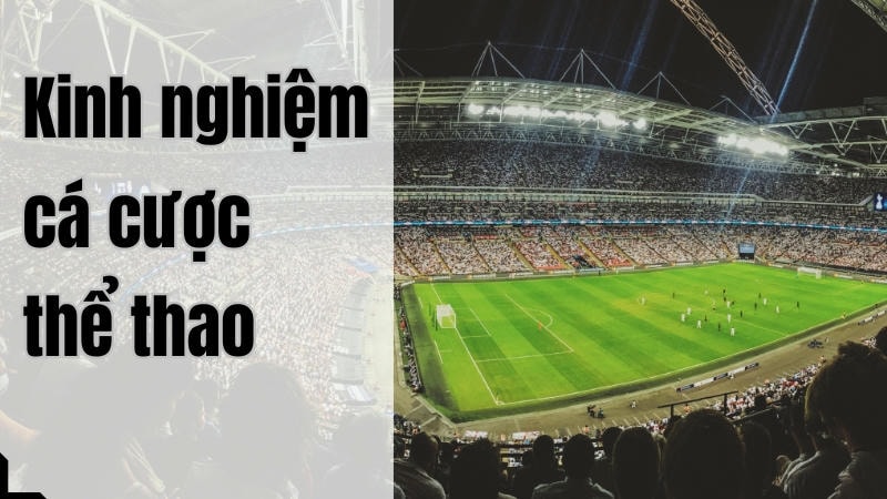  Tận dụng odds cao khi cược đội ghi bàn sau tại KUBET88.